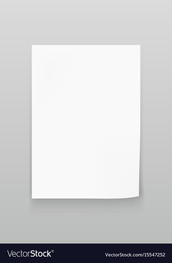 ৮০ gsm A4 কাগজ (খোলা বিক্রি)